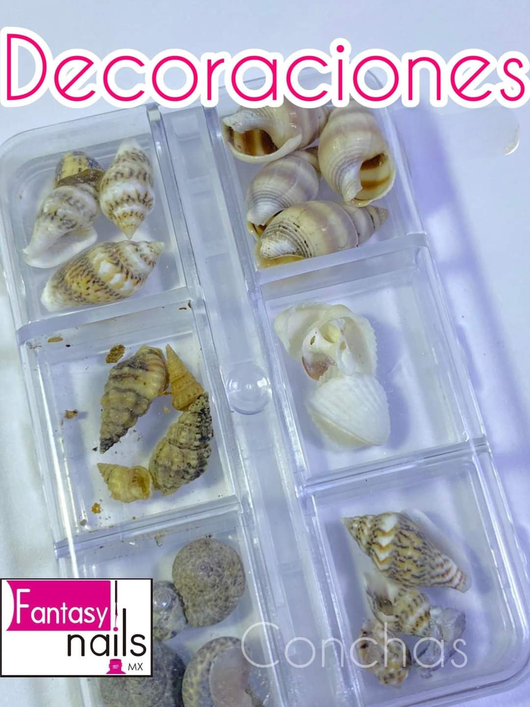 Caracola, decoración de Mar Fantasy Nails